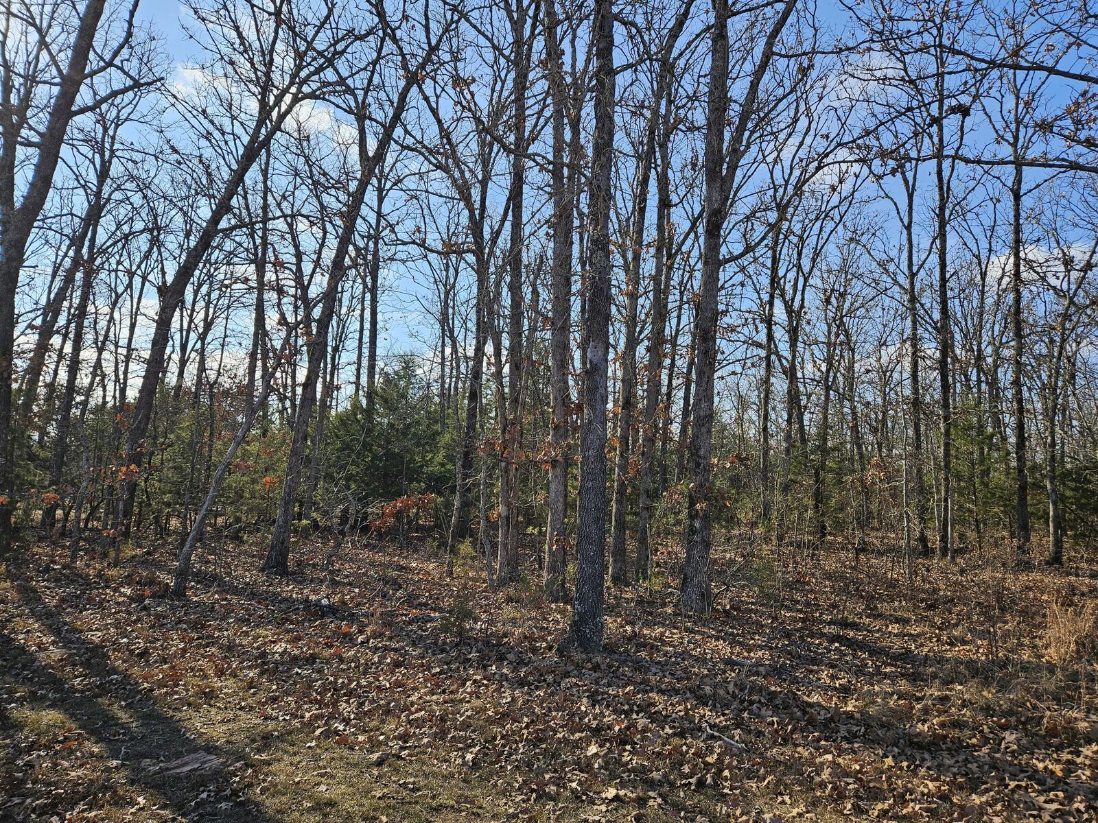 Property Photo:  Tract 4 State Highway 174  MO 65705 