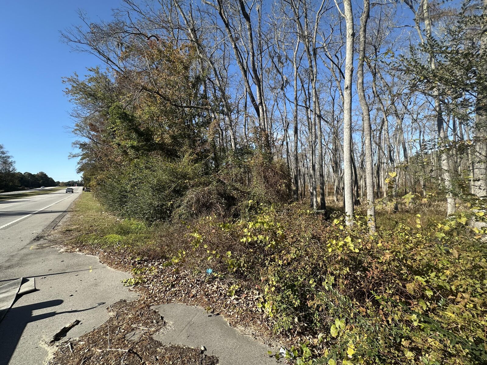 Property Photo:  00 Five Chop Road  SC 29047 