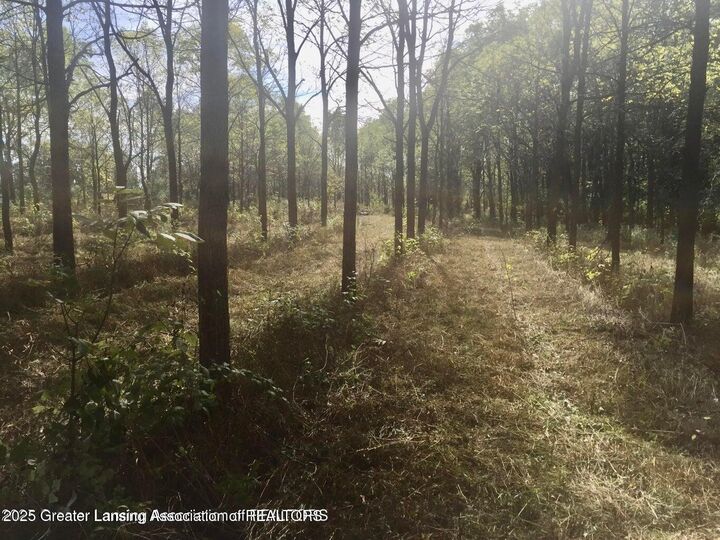 Property Photo:  0 W Solon Road  MI 48820 