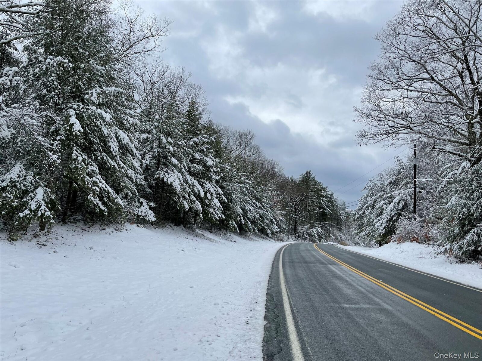 Property Photo:  1315 Sackett Lake Rd  NY 12777 