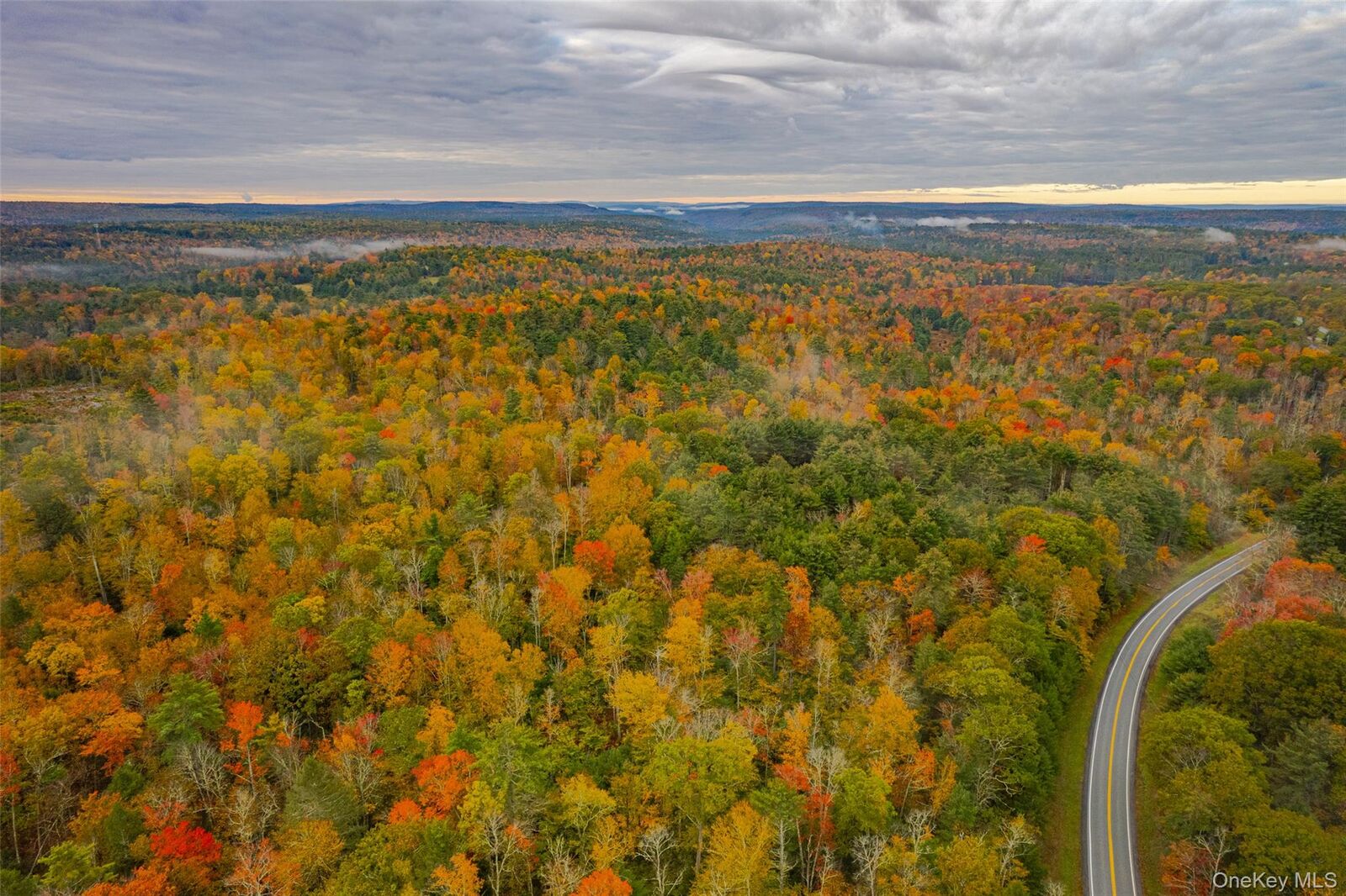 Property Photo:  1315 Sackett Lake Rd  NY 12777 