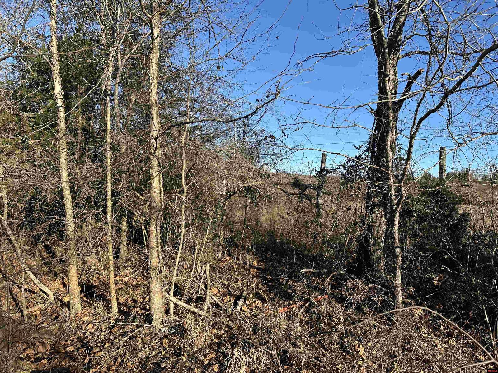 Property Photo:  1739 Cr 54  AR 72653 