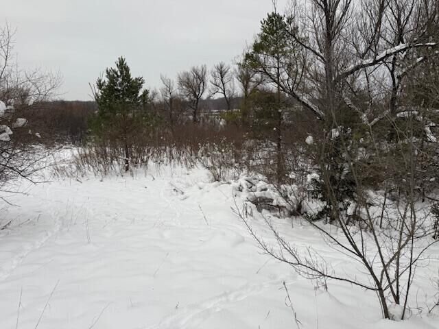 Property Photo: Apache Pass MI 49677