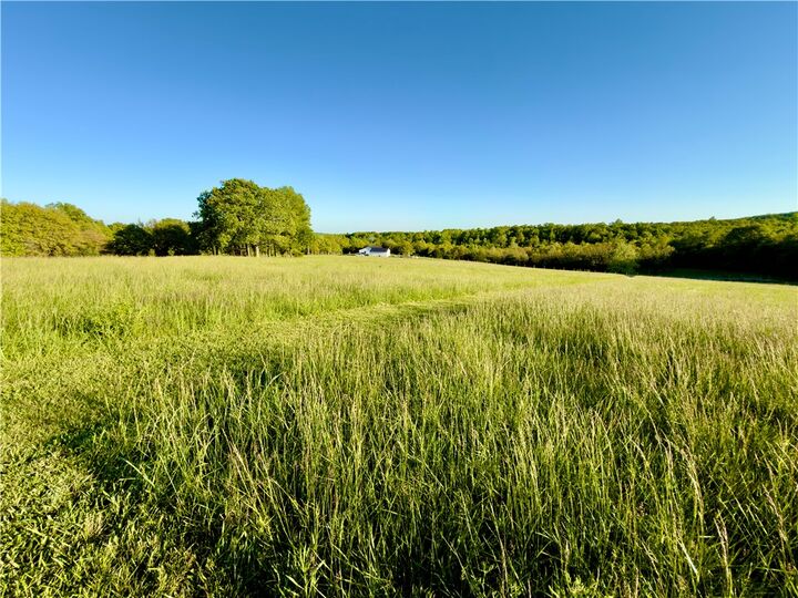 Property Photo: 1779 Nc 1600 AR 72624