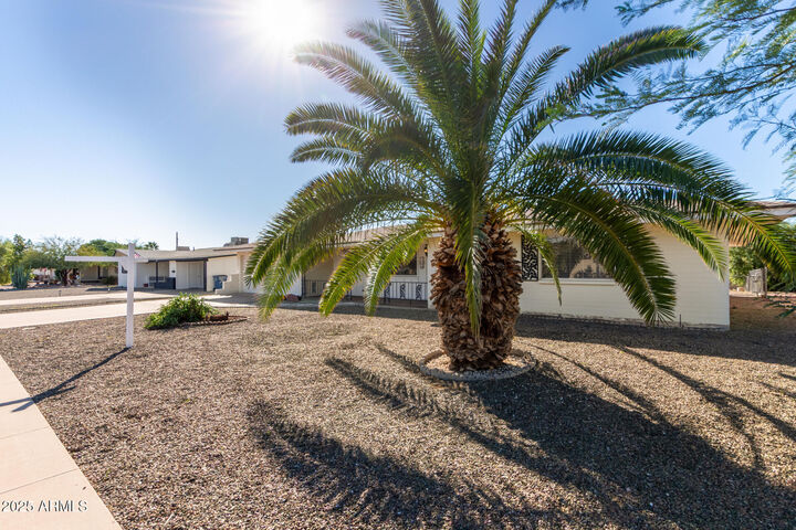 Property Photo:  708 N 56th Street  AZ 85205 