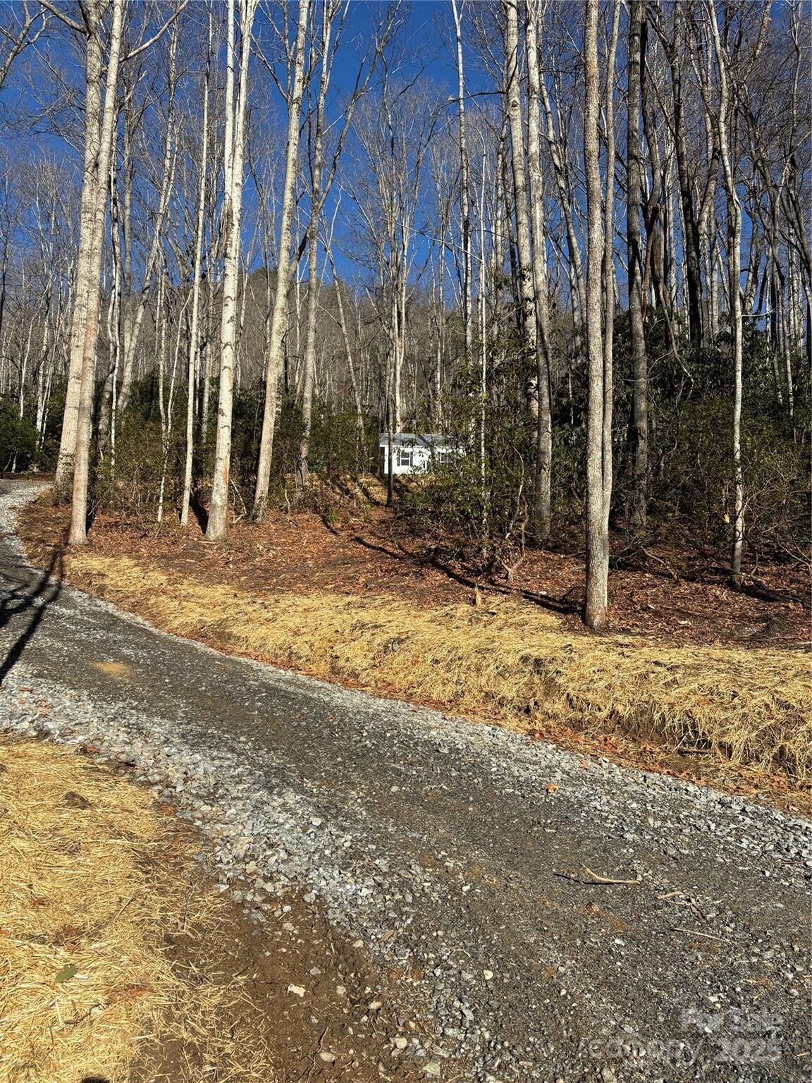 Property Photo:  454 Sheepback Mountain Road  NC 28751 