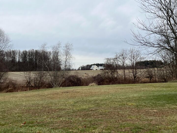 Property Photo:  14239 Robins Road  OH 43082 