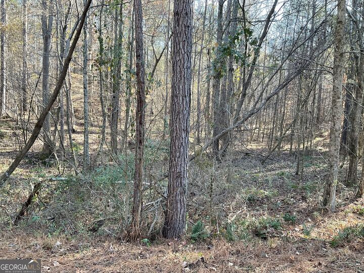 Property Photo:  0 Erskine Drive  GA 31064 