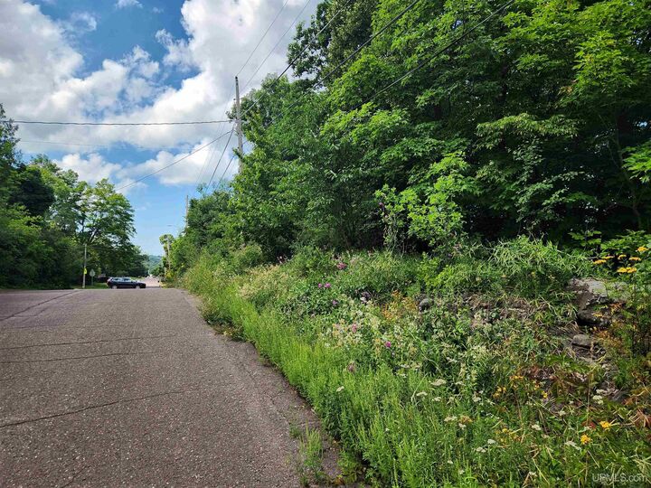 Property Photo:  Tbd 16 Calverley Avenue  MI 49931 