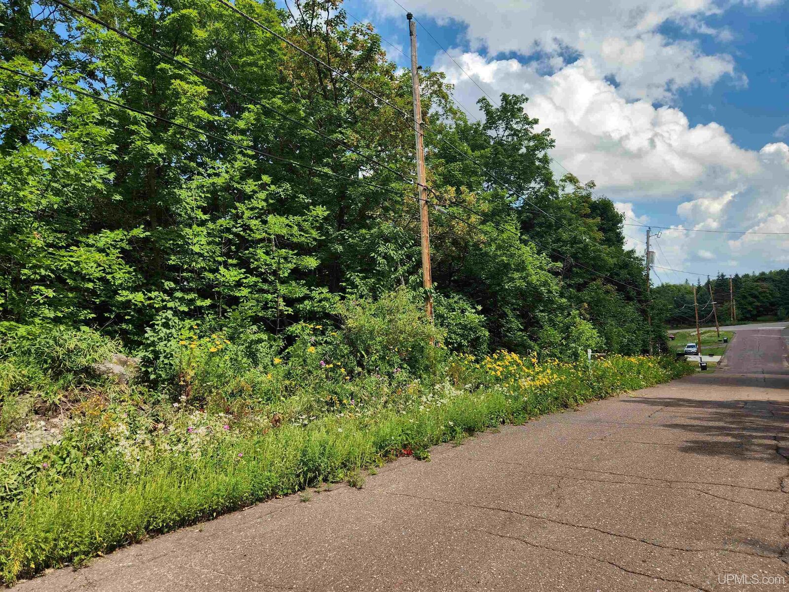 Property Photo:  Tbd 17 Calverley Avenue  MI 49931 