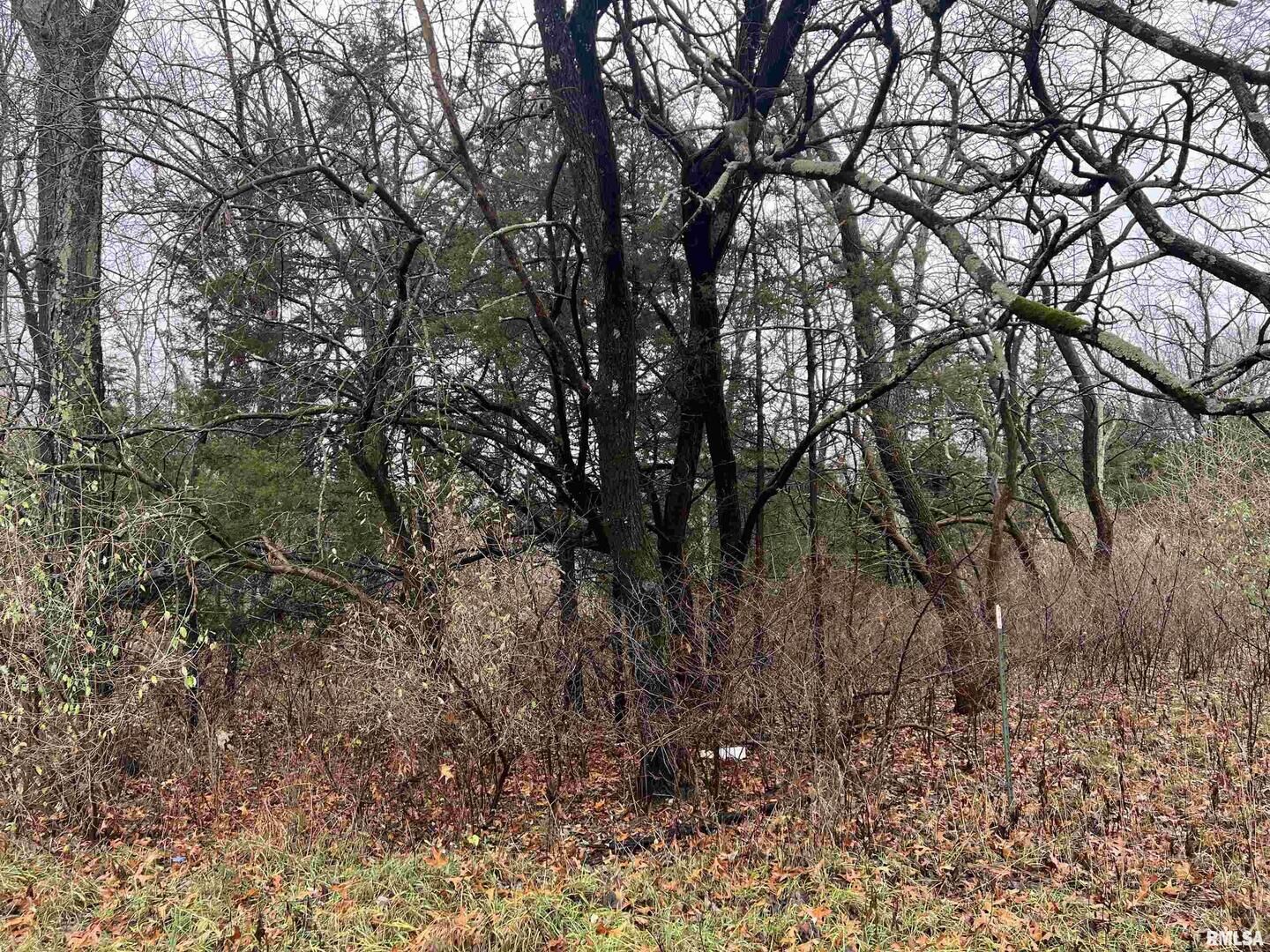 Property Photo:  2975 Eagle Point Bay Road  IL 62939 