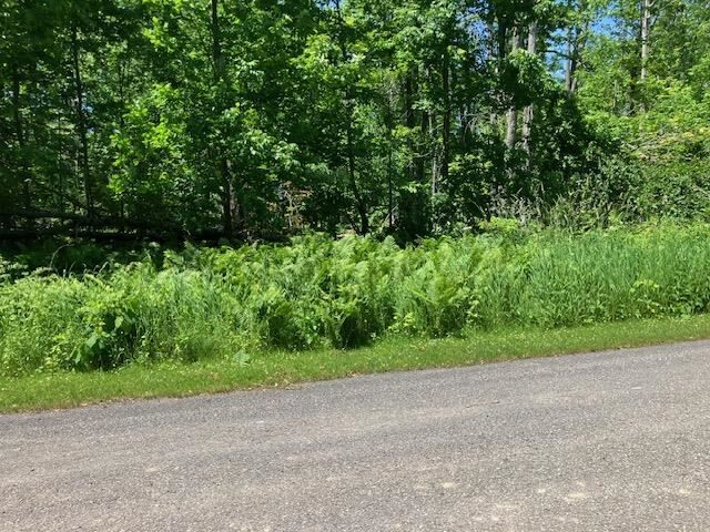 Property Photo:  Tbd Maple Isle Court Units 33 &Amp 34  MI 49706 