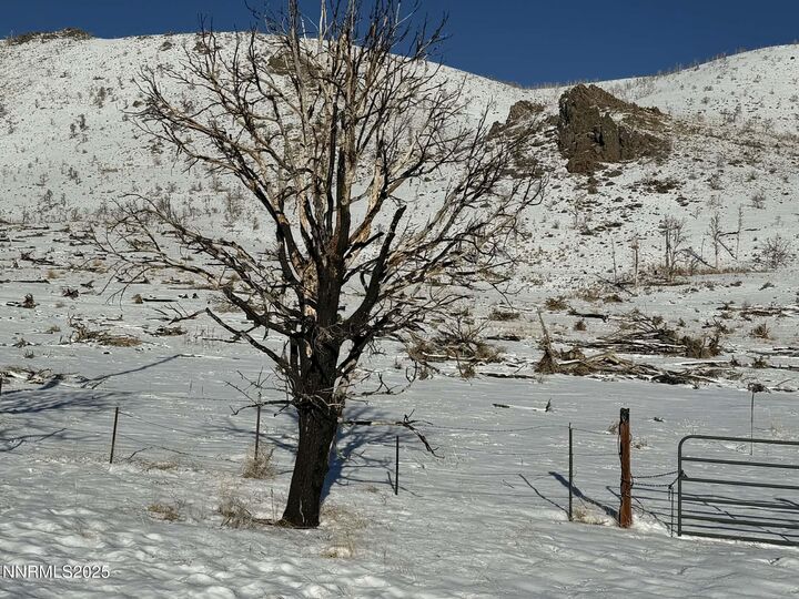 Property Photo:  Tbd Hwy 395  NV 89410 