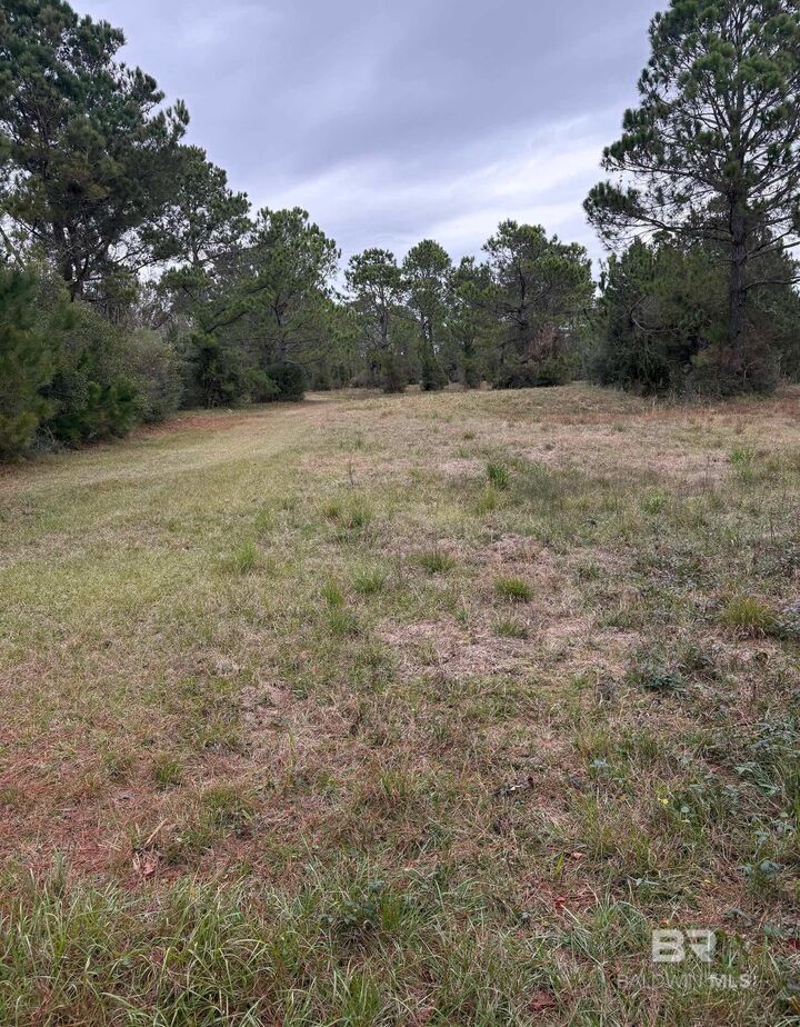 Property Photo:  31849 Randolf Avenue  AL 36549-5707 