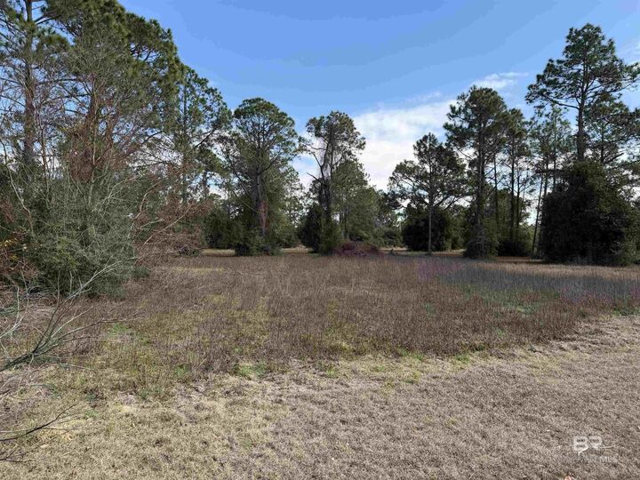 Property Photo: 31849 Randolf Avenue AL 36549-5707