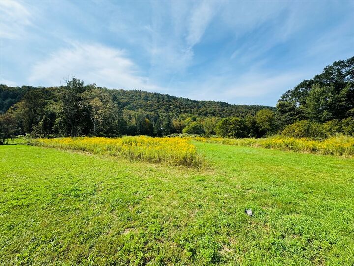 Property Photo:  10-48 Evans Road  NY 13783 