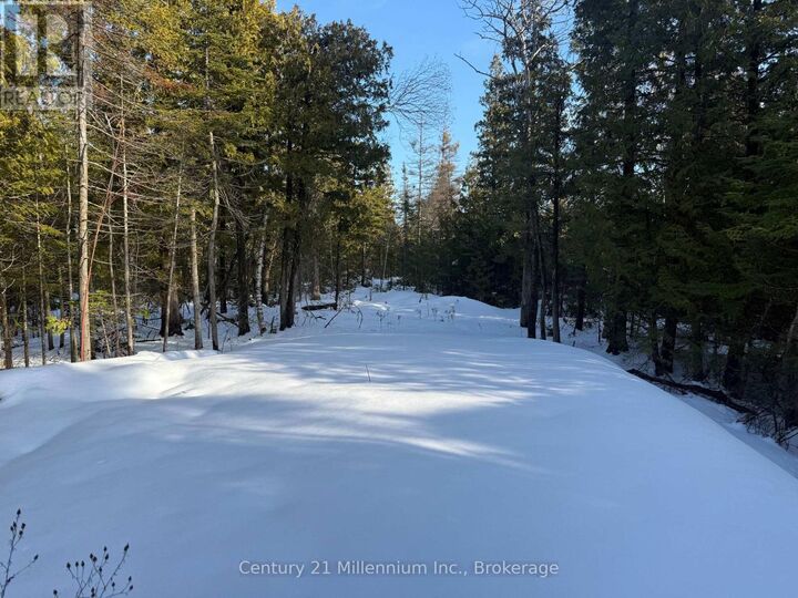 Property Photo:  58 Harpur Drive  ON N0H 2R0 