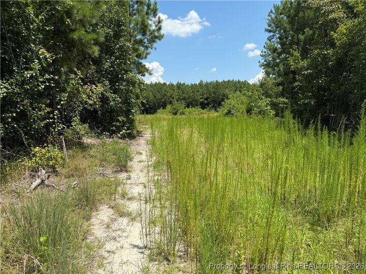 Property Photo:  0 Tabor Church Road  NC 28312 