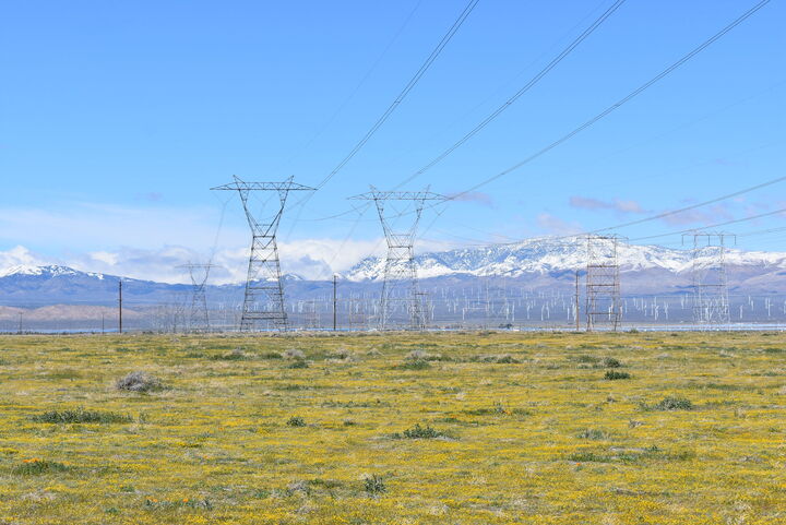 Property Photo:  135th St W &Amp Ave D4  CA 93536 