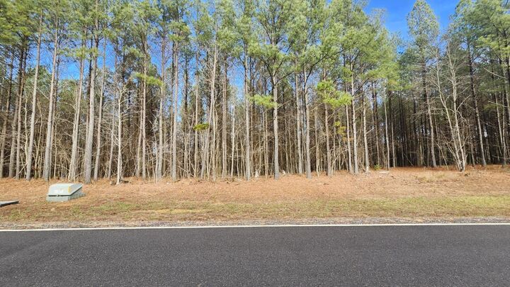 Property Photo:  0 Crockett Pointe  TN 37347 