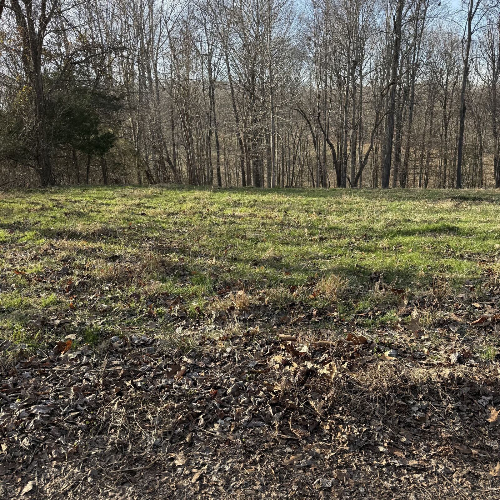 Property Photo:  0 N College St  TN 37150 