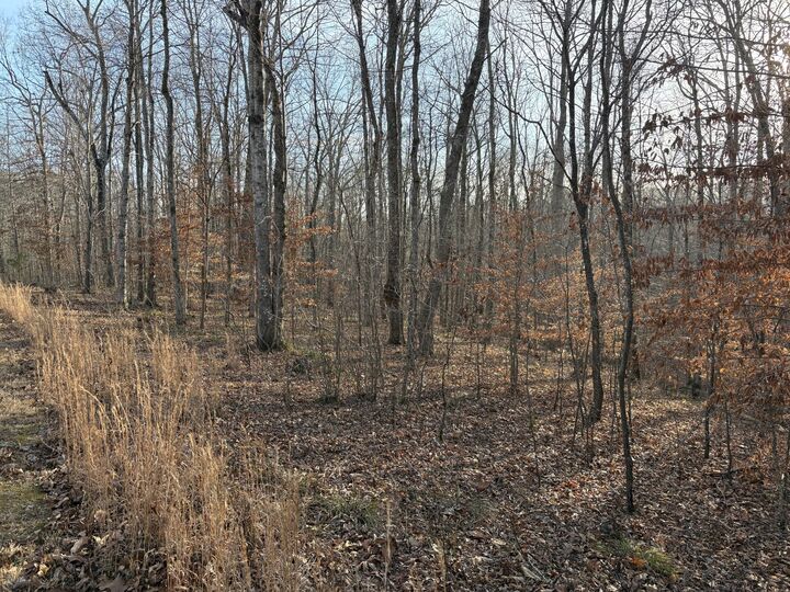 Property Photo: 0 Harbour Park Lane TN 38583