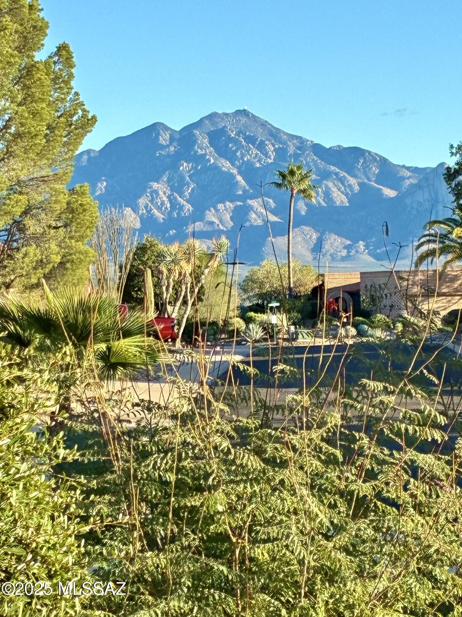 Property Photo: 1571 W Calle De Plata AZ 85622