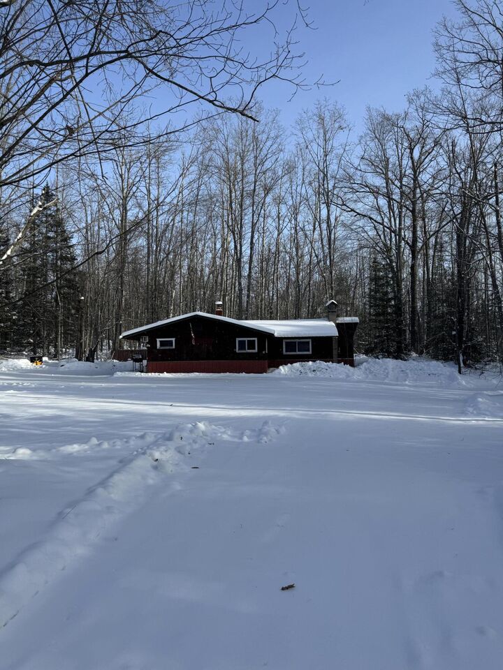 Property Photo:  10741 Big Cut Highway  MI 49759 