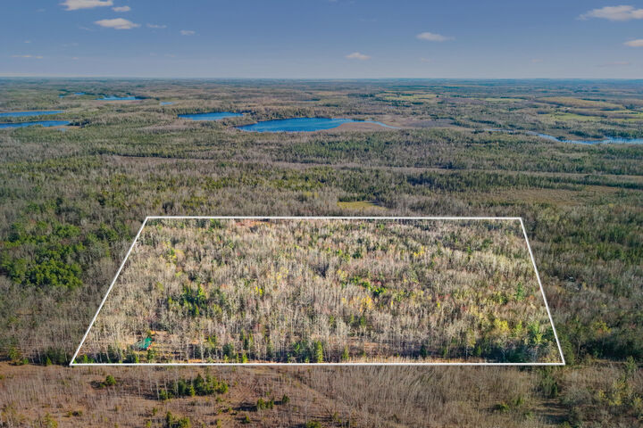Property Photo:  10741 Big Cut Highway  MI 49759 