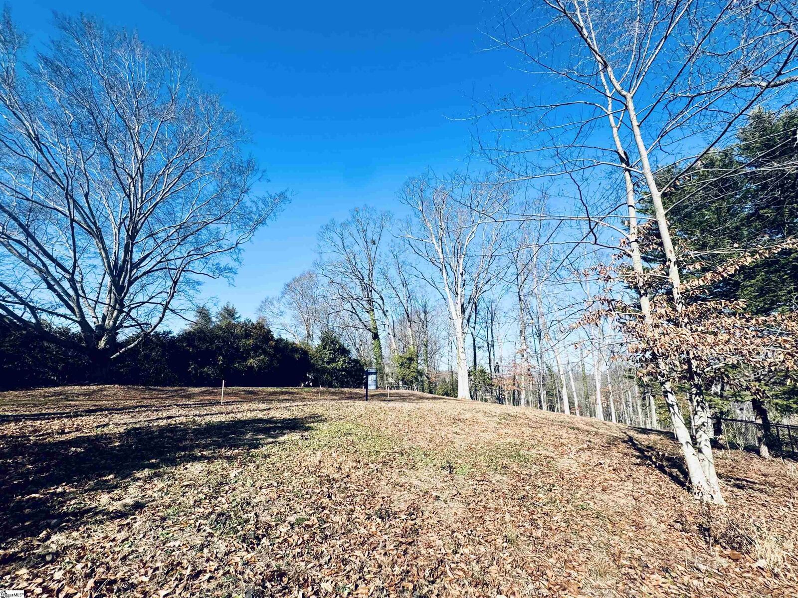 Property Photo:  00 Forest View Drive Lot #3  SC 29605 