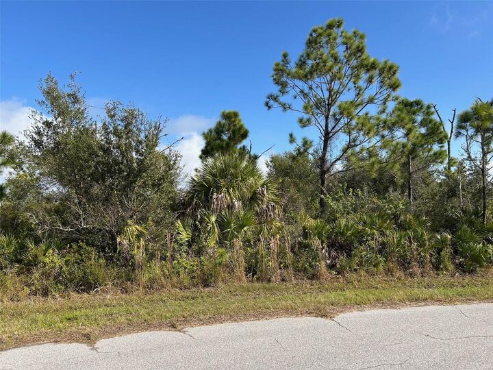 Property Photo:  5252 Anderson Road  FL 33981 