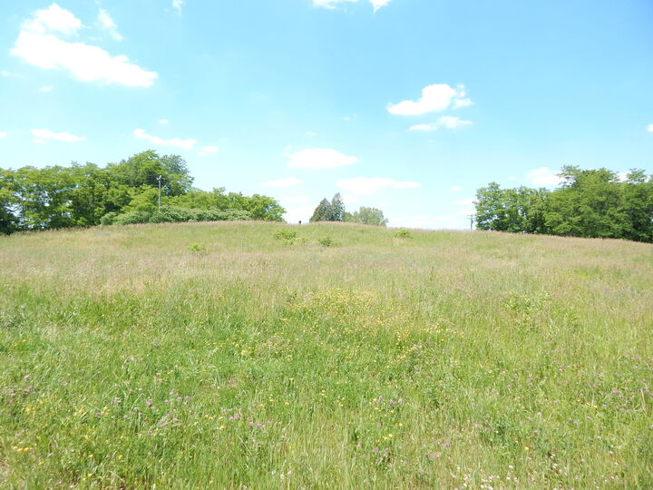 Property Photo:  9340 Sparta Avenue NW  MI 49345 