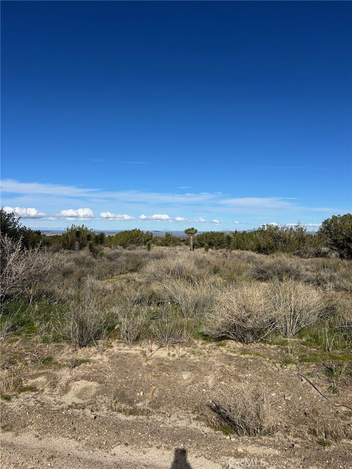 Property Photo:  0 Fort Tejon-Puzzle Canyon  CA 93544 