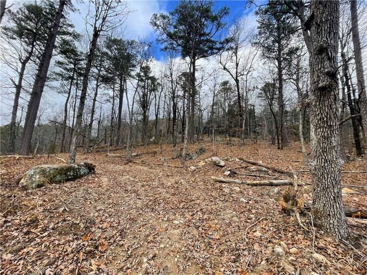 Property Photo:  40.12 Acres Landlock Road  AR 72650 