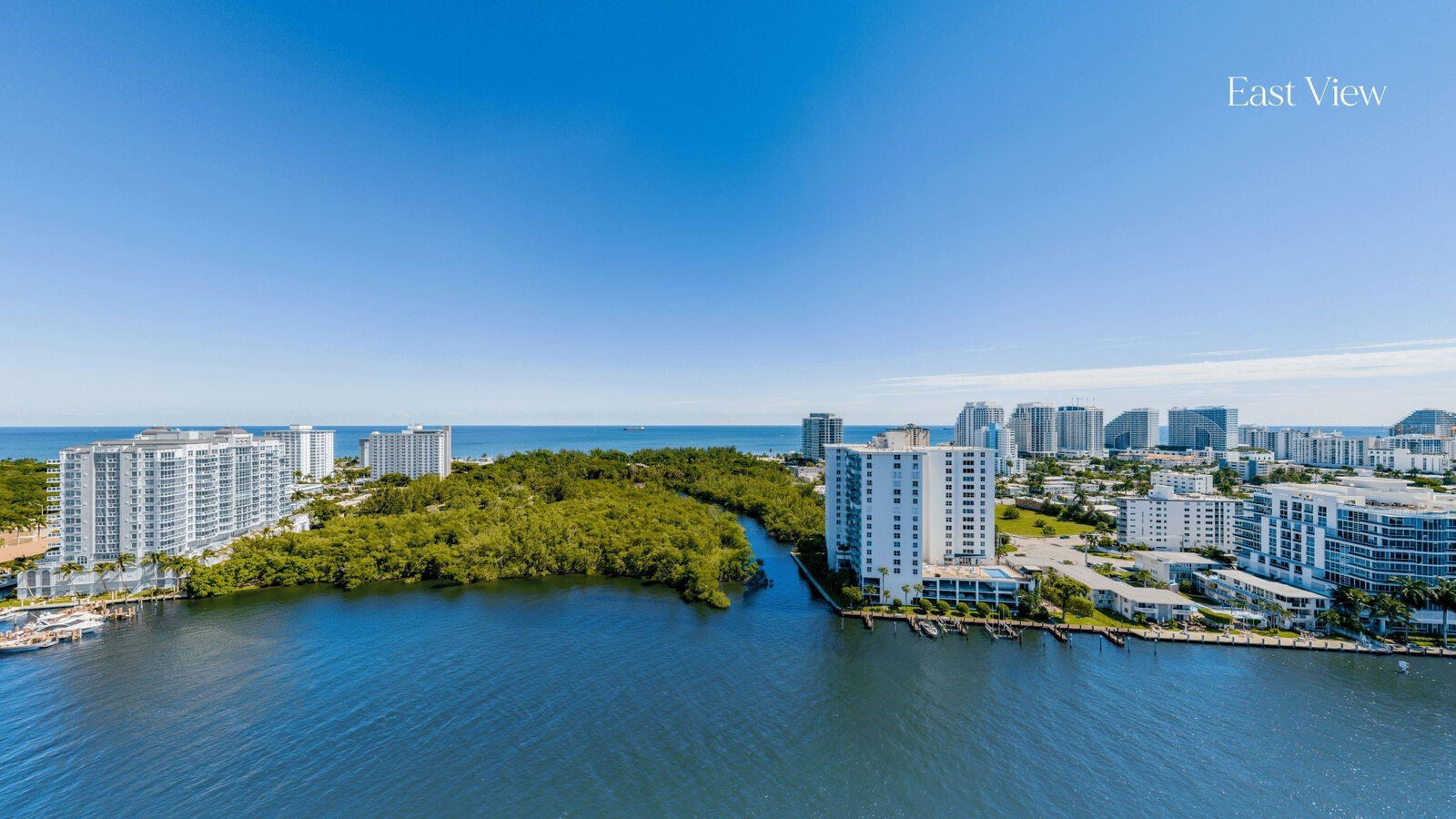 Property Photo:  900 Intracoastal Drive 801  FL 33304 