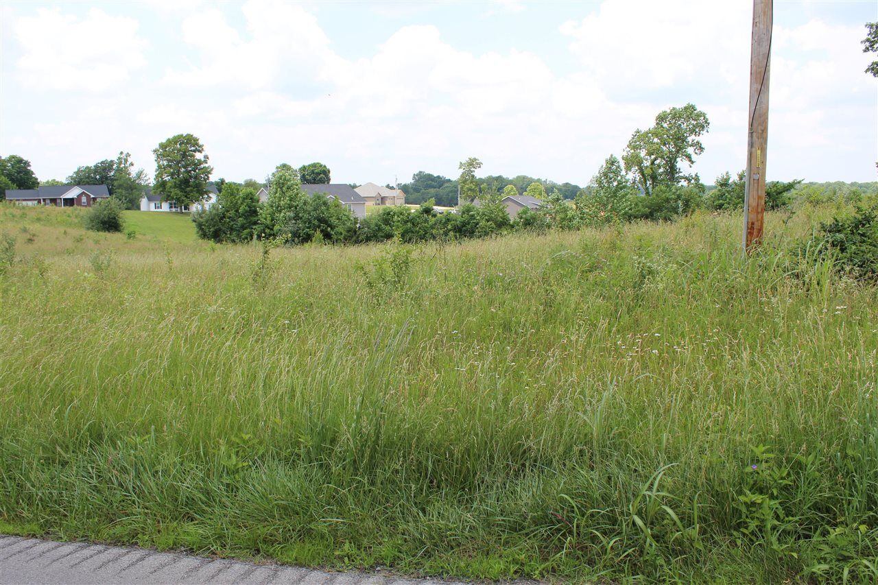 Property Photo:  Lot 2 Lick Branch Road  KY 42141 