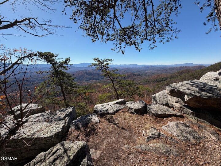 Property Photo:  Tract A Mountain Ash Way  TN 37876 