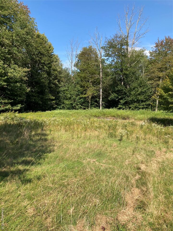 Property Photo: 699 Budd Road NY 12788
