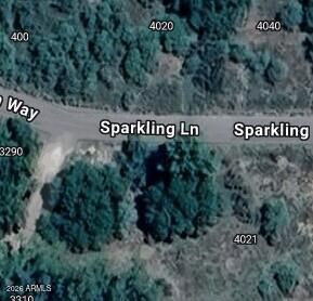 Property Photo:  4021 E Sparkling Lane 58  AZ 86322 