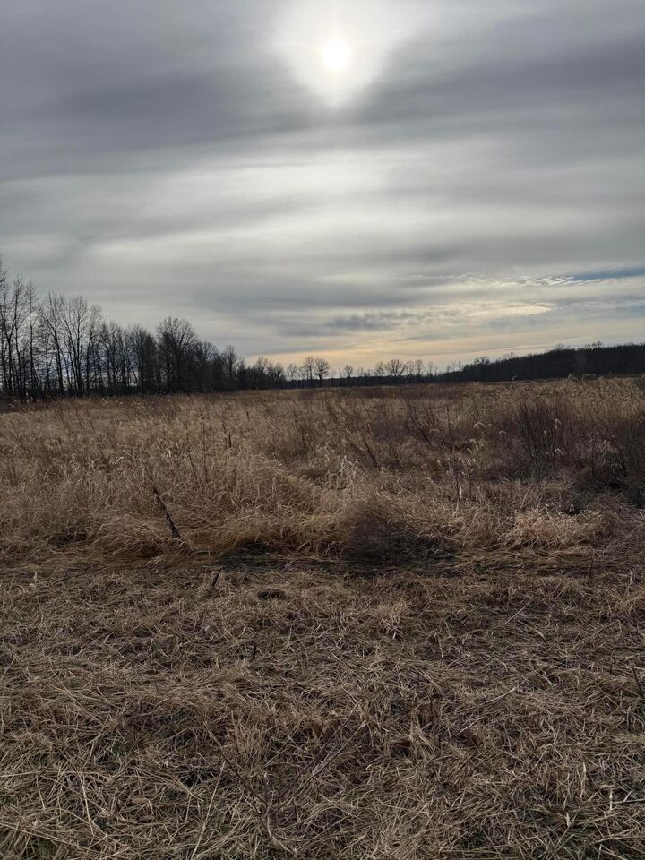 Property Photo:  0 Twigg Hupp Road  OH 43074 