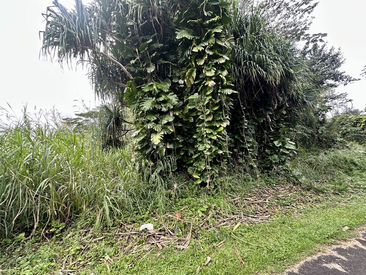 Property Photo:  Moi St  HI 96778 