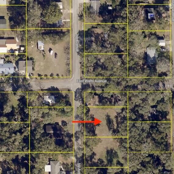 Property Photo:  407 Ivy Avenue  FL 32724 