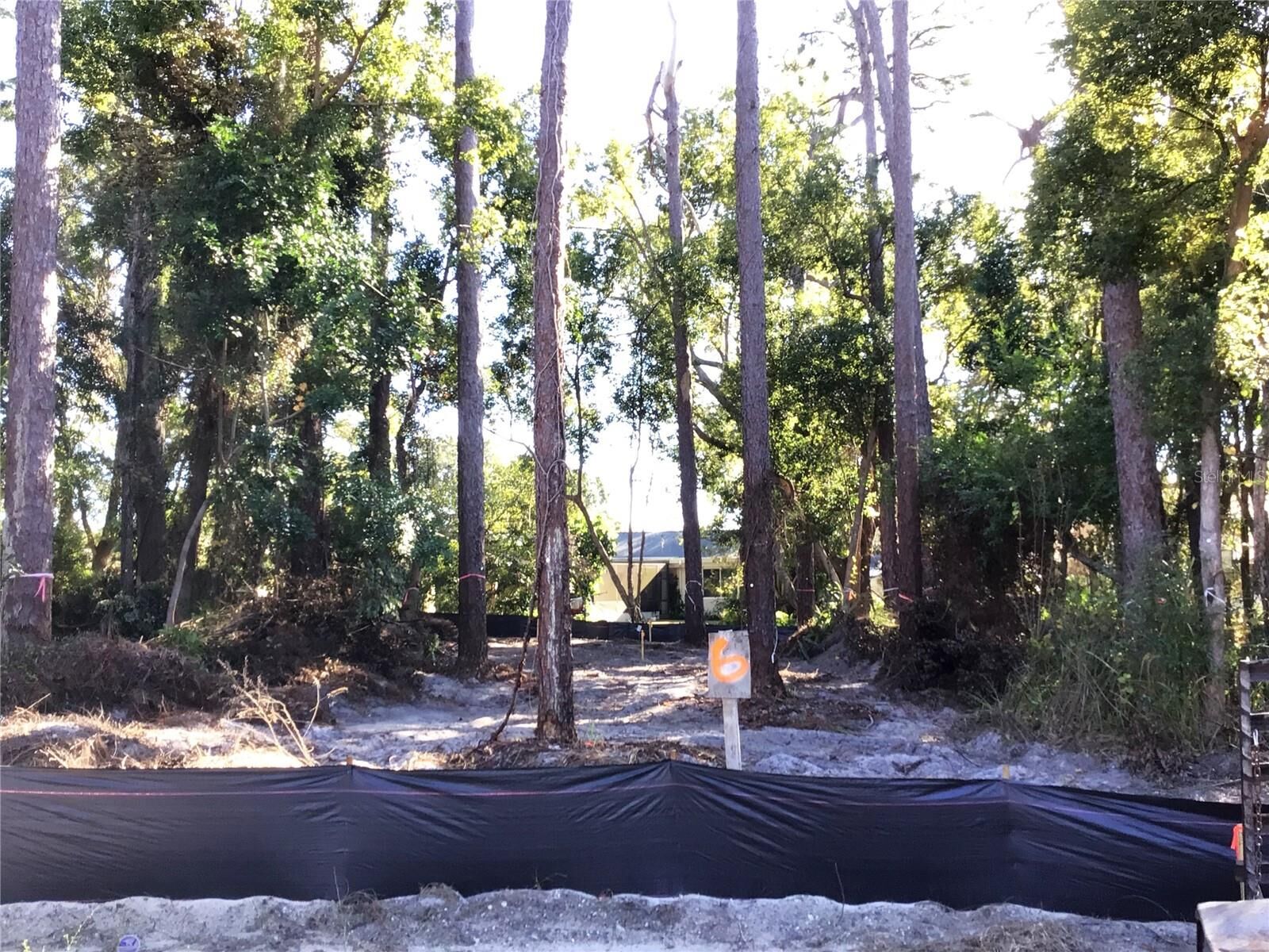 Property Photo:  1298 Almaria Court  FL 34683 