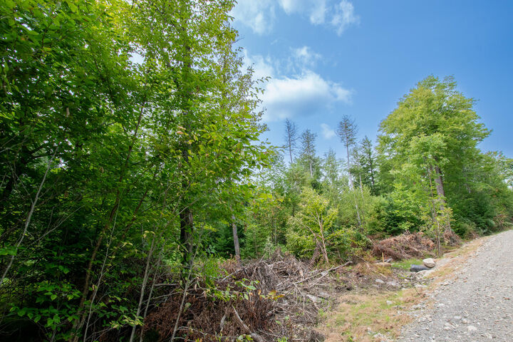 Property Photo:  Lot2 Bear Brook Subdivision  ME 04481 