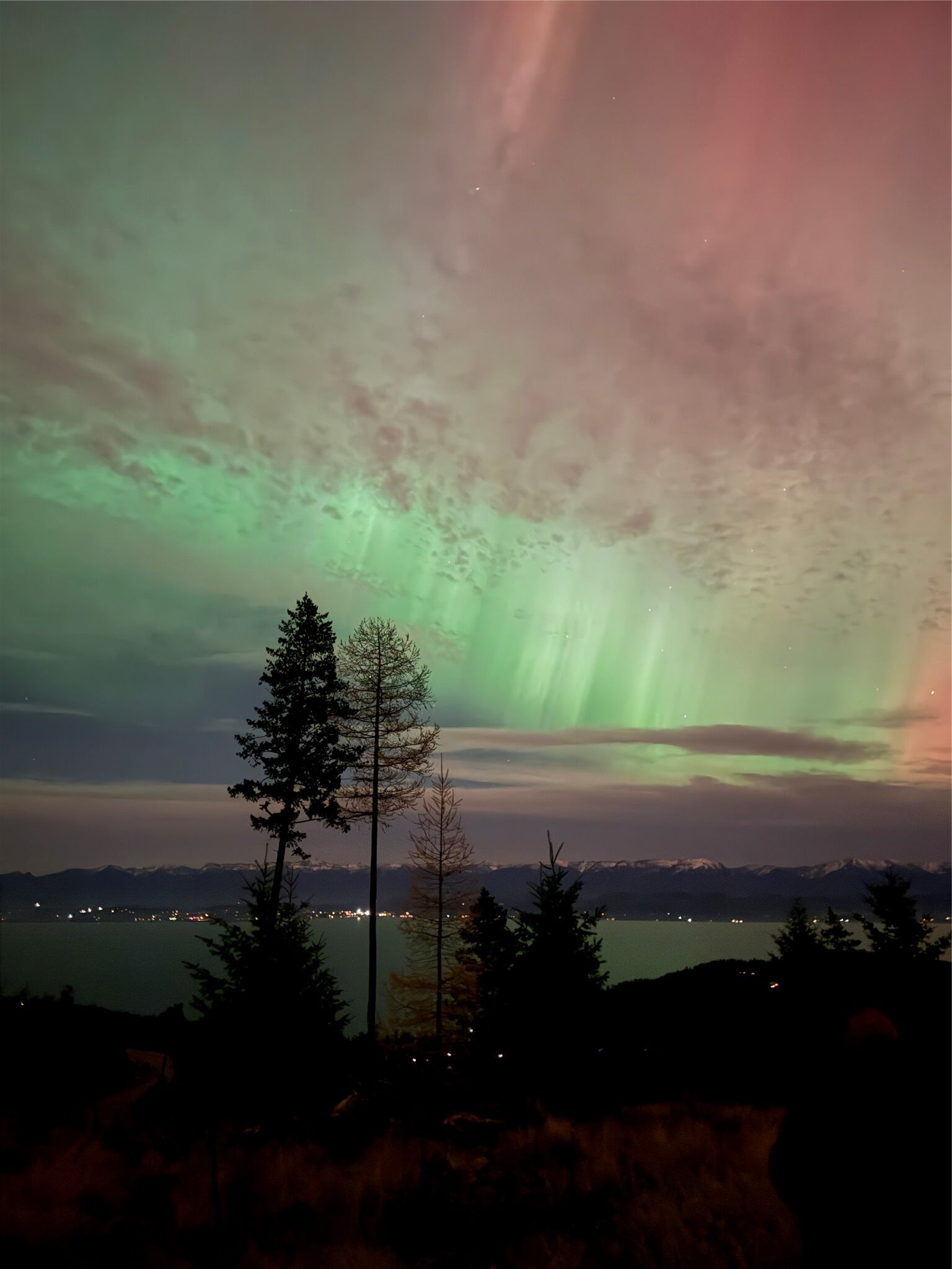 Property Photo: 351 Ridge Line Drive MT 59922