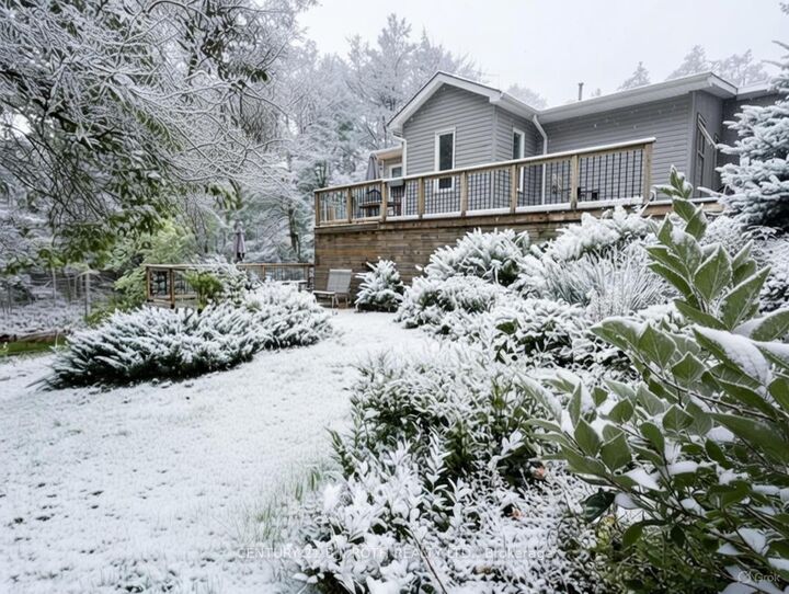 Property Photo: 8101 Kings River Road ON L0K 2B0