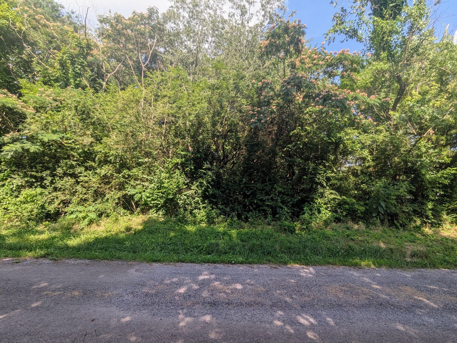 Property Photo:  00 County Road 493 Road  TN 37331 