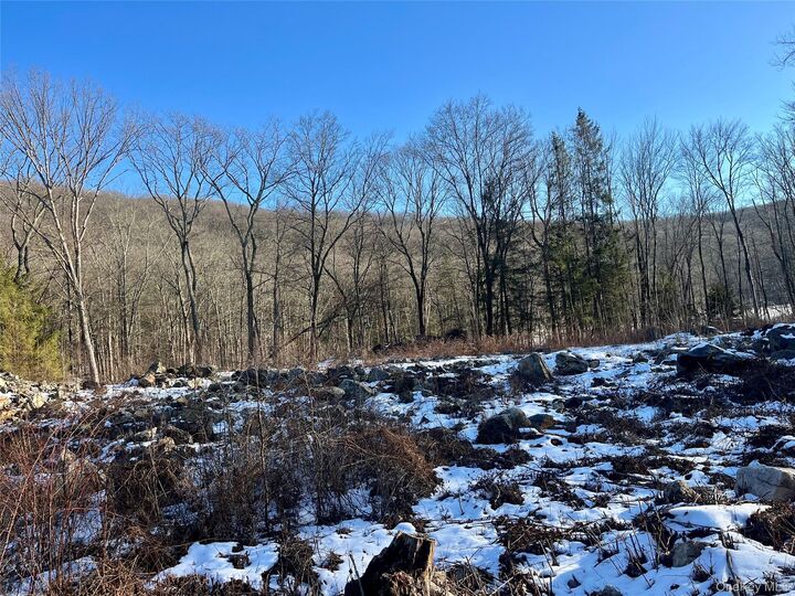 Property Photo:  80 Nelson Road  NY 10925 