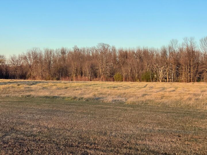 Property Photo: Lot 8 Block 1 Donway Place NE MN 56308