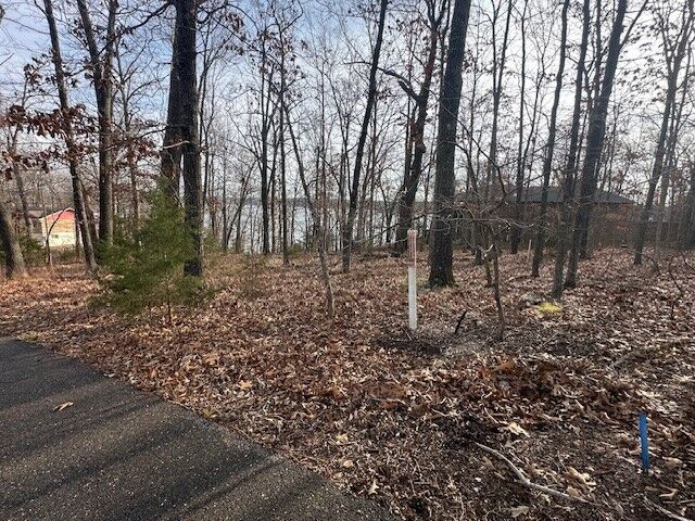 Property Photo:  Lakeview Circle  AR 72619 